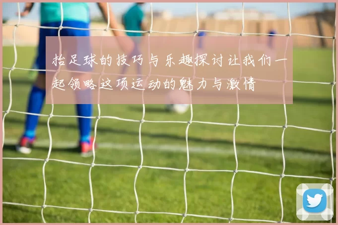 抬足球的技巧与乐趣探讨让我们一起领略这项运动的魅力与激情